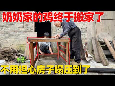 奶奶家的鸡终于搬家了，房子塌就不用担心被压在里面了，李俊帮爷爷做的新鸡窝六七只鸡住，太挤了