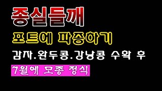 [텃밭농부 1,968]  종실들깨 모종을 포트에 파종하기. 감자, 완두콩, 강낭콩 수확 한 곳에 후작 심기.…