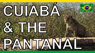 Cuiabá, Brazil 🇧🇷 | Warm People, Wild Nature & the Pantanal Experience