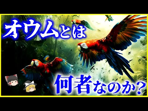 茶色の頭のオウムについて詳しく解説