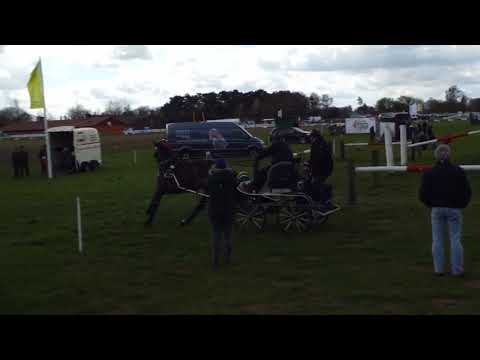 Fahrturnier Greffen 10.4.2022