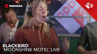 Blackbird - Moonshine Motel video