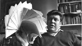 Luke Haines "Art Will Save The World"