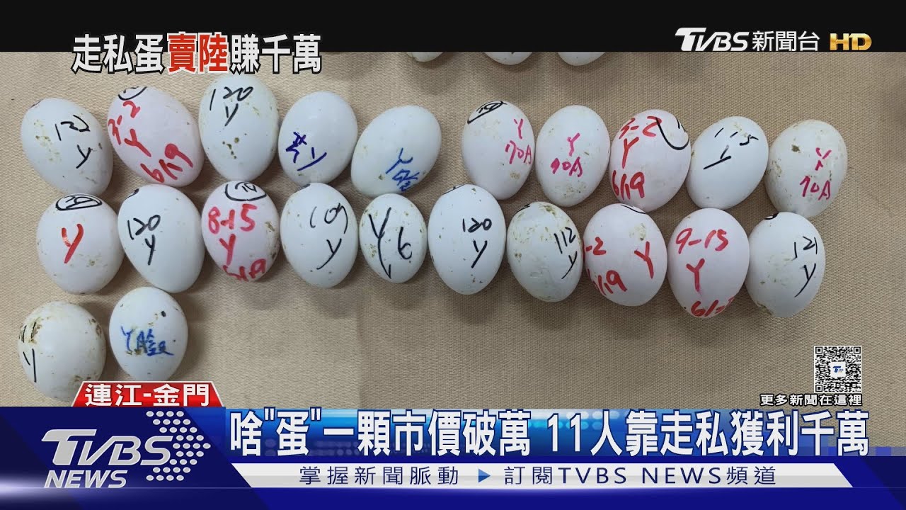 11人集團走私逾5000顆鸚鵡蛋　「空運+海上交貨」暴利5千萬