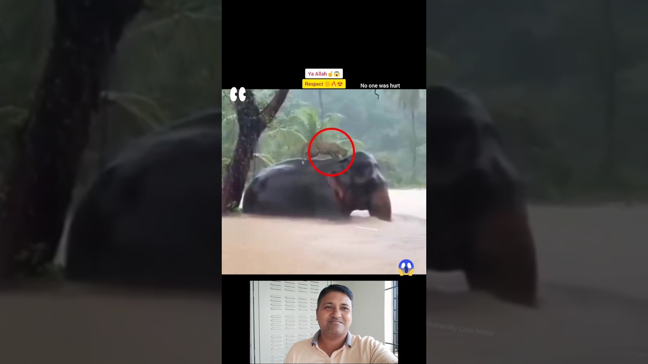 MashAllah ☝️😇 Respect 😍 #allah #shorts #status #respect