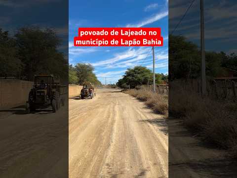 Zona rural do povoado de Lajeado no município de Lapão Bahia ￼