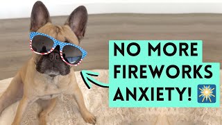 Dog Anxiety Fix | Fireworks Night Routine That Works