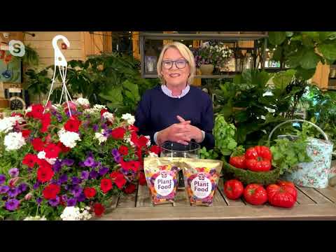 Richard Jackson Blossom Booster Plant Food Choice of 2 or 4 lbs. on QVC
