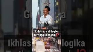 Download lagu Gus Baha - ikhlas adalah logika tertinggi manusia⁉️#gusbaha mp3 Download lagu Gus Baha - ikhlas adalah logika tertinggi manusia⁉️#gusbaha mp3