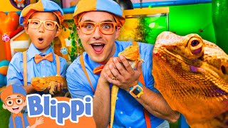 Blippi and Everest on a Dinosaur Lizard Hunt!🦎