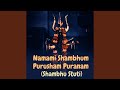 Namami Shambhum Purusham Puranam Shambhu Stuti