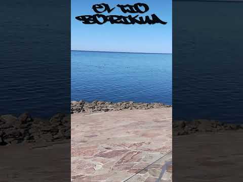 Paseando Ando│ La Plata │Argentina │El Tio Borikua