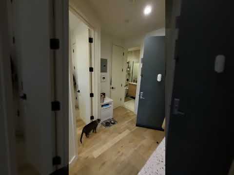 video 1