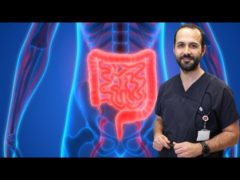 Bağırsak Sağlığı için Önerileriniz Nelerdir? - Gastroenteroloji Uzmanı Doç. Dr. Hakan Demirci