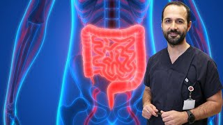 Bağırsak Sağlığı için Önerileriniz Nelerdir? - Gastroenteroloji Uzmanı Doç. Dr. 