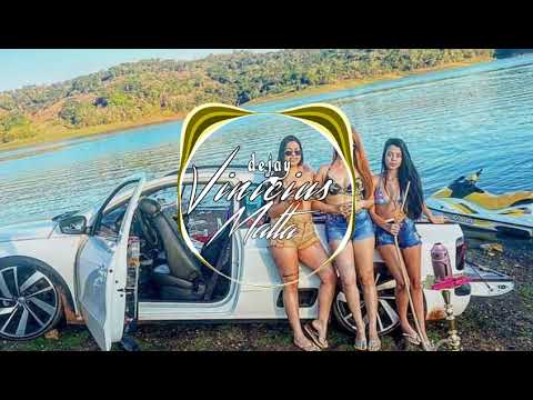 Paulo Pires e MC Anônimo - Meu paredão(DJ Vinicius Malta)