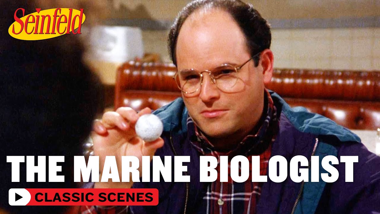 7 بخش 'Seinfeld' باید به عنوان 7 مخاطب جدید تماشا شود نهنگ بیچ بیچ داستان را روایت می کند | زیست شناس دریا | Seinfeld - YouTube