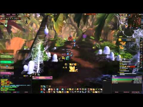 Everbloom GOLD  realm first-illidan ret pov