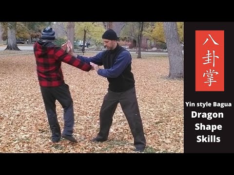 Yin Style Baguazhang Dragon Shape Skills