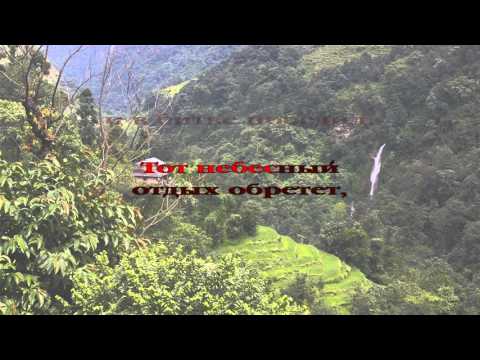 276 День воскресный