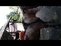 Adegan 21