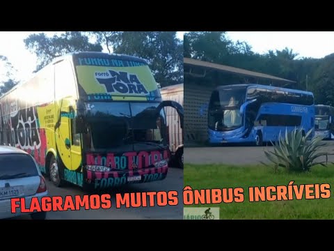 MUITOS ÔNIBUS DE BANDAS NOS PONTOS DE APOIO PERTO DO TIP RECIFE