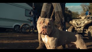 Joel Corry - Hey DJ (KAV & YA Edit)