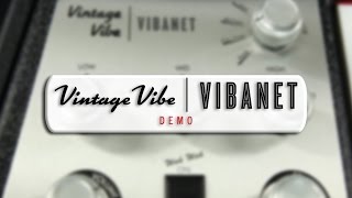 Video thumbnail for Vintage Vibe Vibanet Demo by Vintage Vibe