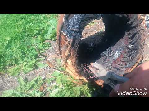 Разборка электро двигателя.