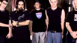 Darwin's Waiting Room - Live For The Moment