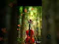 BAVA GARU BAGUNNARA BGM ROMANTIC THEME