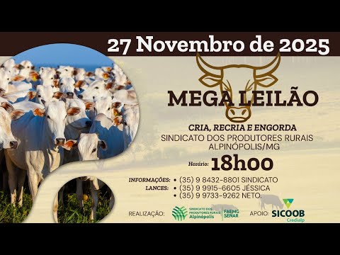 LEILÃO DE GADO SINDICATO DE ALPINÓPOLIS MG