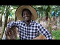 Cleva Farm Management App Video