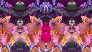 Texas Eagle (by Steve Earle &amp; the Bluegrass Dukes live in &#39;99 in Nashville)