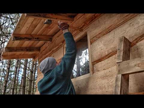 Built a simple shed to store stuff in the woods, Living in the countryside