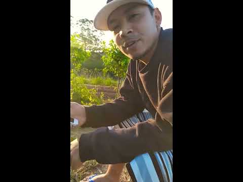 Mc Japoneis - Filho de traficante (Medley 2019)