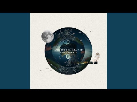 Journey Through My Mind