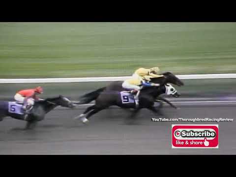 1988 FLORIDA DERBY SERIES   LEG TWO FOUNTAIN OF YOUTH STAKES