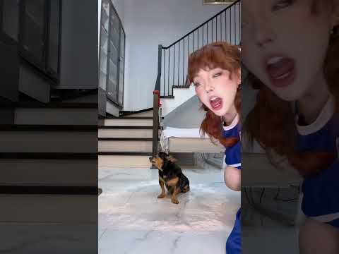 Mọi người nghĩ Pate có phải Skinwalker thật không? #shorts