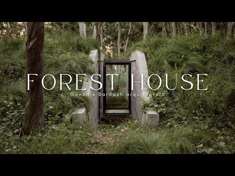 A Green-Roofed House That Blends with the Pine Forest | Forest House