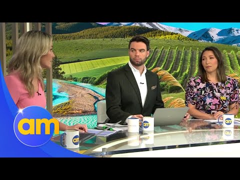 Differing views on Manly Sea Eagles pride jersey controversy | AM