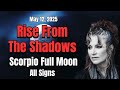 Rise From The Shadows Scorpio Full Moon All Signs