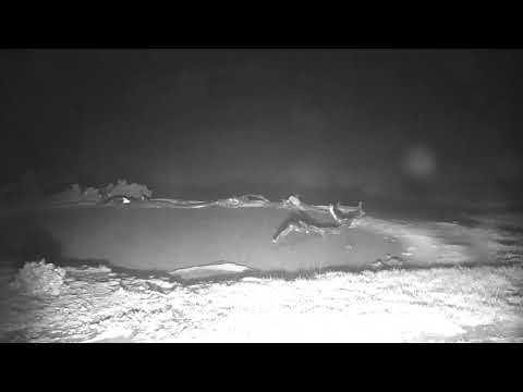 Djuma: Another rain storm is upon Vuyatela - 21:16 - 01/08/19