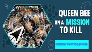 A Queen Bee On A Mission To Kill....Queen Tooting Noise..Apimaye Pro Frame Extraction and more