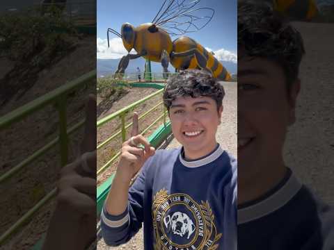 La abeja más grande del mundo - Boyacá
