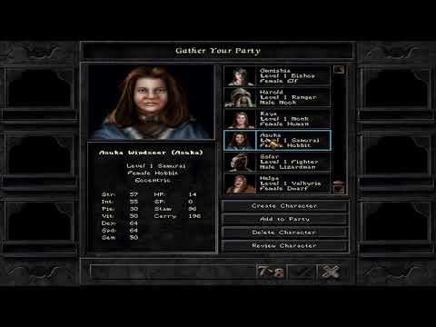 Wizardry 8: Beginners Starting Guide