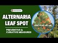 Alternaria Leaf Spot अल्टरनेरिया लीफ स्पॉट सेब बाग