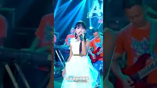 Download lagu Mengejar Badai - Dede Afril - Ageng Music mp3