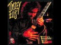 Tinsley Ellis The Axe 