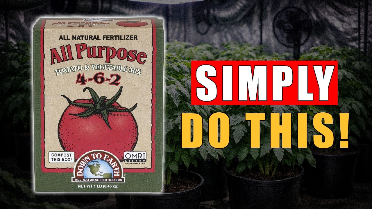 Best Nutrients for First-Time Growers (2024)
